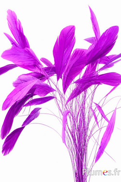 Coquetips - 13-18 cm - fuchsia-paars